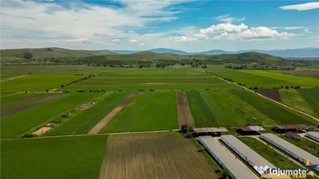 FILM! Teren extravilan 5.000 mp in zona linistita cu acces f