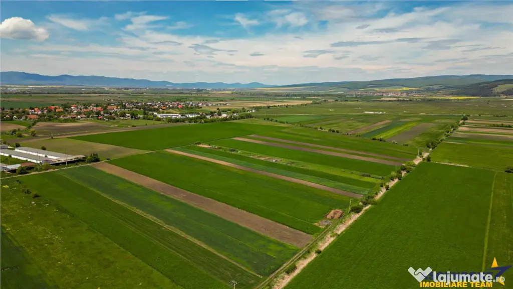 FILM! Teren extravilan 5.000 mp in zona linistita cu acces f