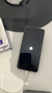 Samsung Galaxy S25 