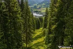 FILM!Teren 7.800mp,fosta partie de schi,investitie turistica