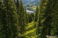 FILM!Teren 7.800mp,fosta partie de schi,investitie turistica
