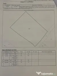 Teren 2,53 ha cu 4.458 mp intravilan