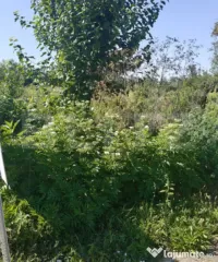Oportunitate Investiție! Teren Intravilan 1.218 mp pe colț 