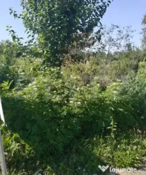 Oportunitate Investiție! Teren Intravilan 1.218 mp pe colț