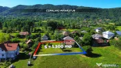 Casă traditionala de vanzare la tara