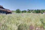 Teren de vanzare in Luna, Campia Turzii