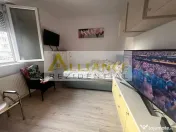 Apartament 2 camere cu gradina