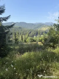 Teren extravilan, Câmpulung M., 7649 mp, pentru cabană sau