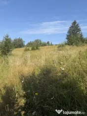 Teren extravilan, Câmpulung M., 7649 mp, pentru cabană sau