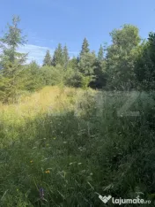 Teren extravilan, Câmpulung M., 7649 mp, pentru cabană sau
