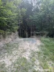 Teren extravilan, Câmpulung M., 7649 mp, pentru cabană sau