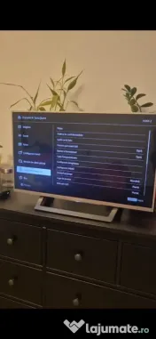 Televizor Sony Bravia 