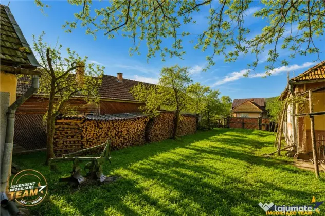 FILM! Domeniu de 6.221mp, livada pomi fructiferi casa si ane