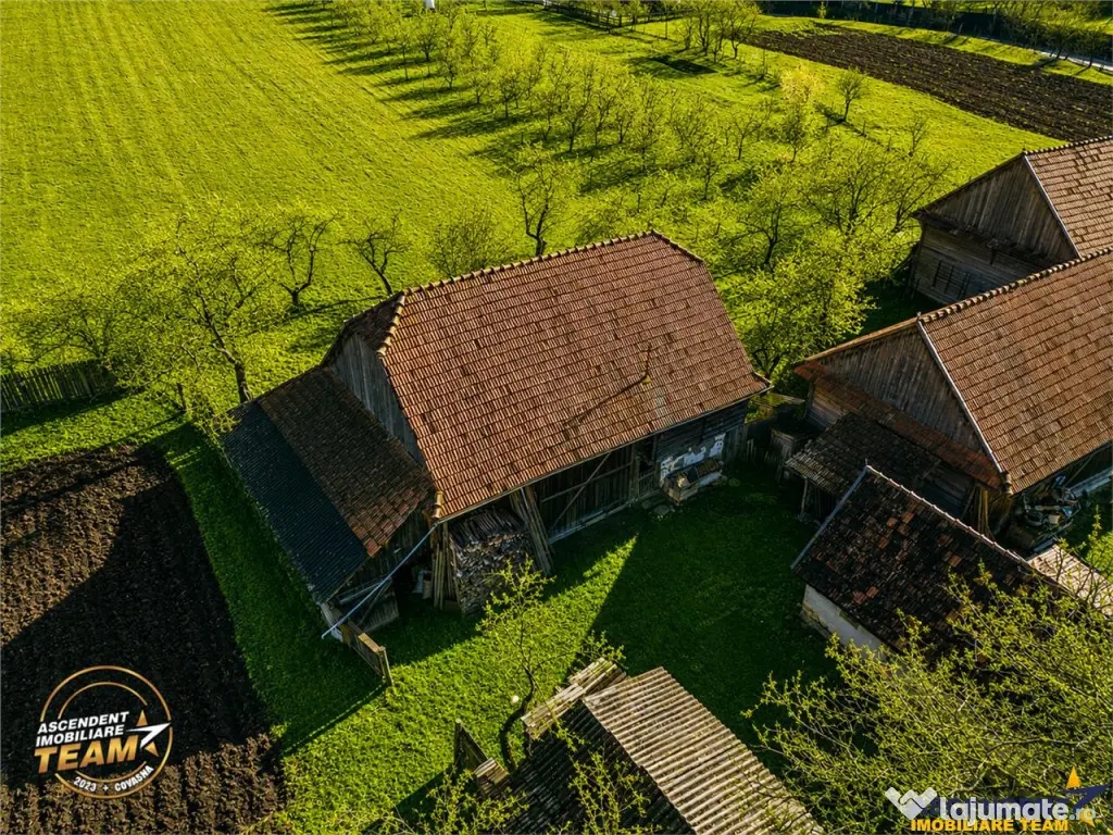 FILM! Domeniu de 6.221mp, livada pomi fructiferi casa si ane