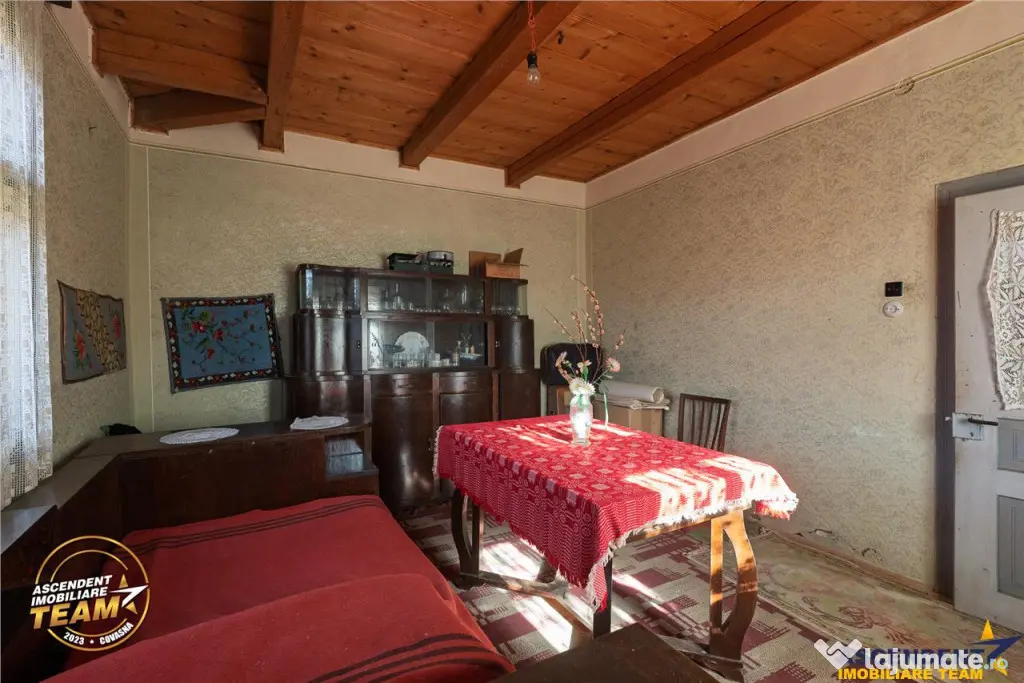 FILM! Domeniu de 6.221mp, livada pomi fructiferi casa si ane