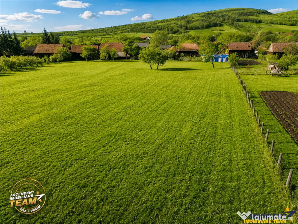 FILM! Domeniu de 6.221mp, livada pomi fructiferi casa si ane