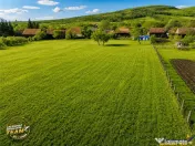 FILM! Domeniu de 6.221mp, livada pomi fructiferi casa si ane 