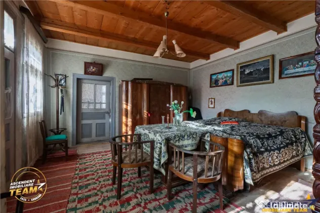 FILM! Domeniu de 6.221mp, livada pomi fructiferi casa si ane