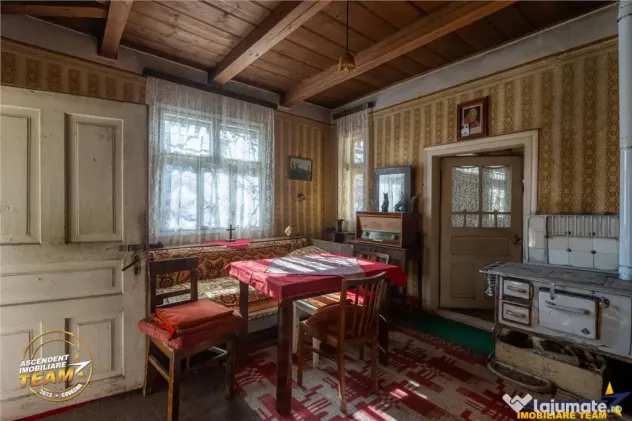 FILM! Domeniu de 6.221mp, livada pomi fructiferi casa si ane