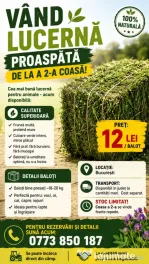 Vând Lucerna Proaspata - a Doua Coasa