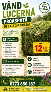 Vând Lucerna Proaspata - a Doua Coasa 
