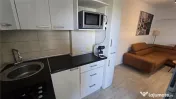 Apartament Ultracentral 2 camere De Inchiriat Zona Primar 