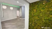 Casă 3 camere, Pache Protopopescu