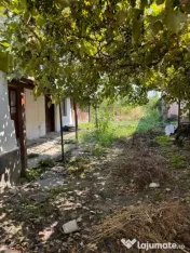 Teren 1476 mp - zona centrala, Malu Mare
