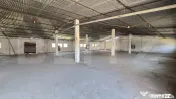 Hală Industrială Generoasă – Deschidere Mare & Curent T 