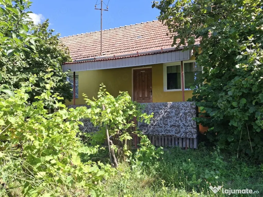 Casă de vânzare în centrul comunei Sânger Mureș 100 mp + teren 3300mp
