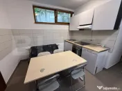 Apartament cu 1 cameră la casă, cu curte generoasă – pe 