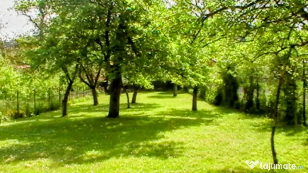 Proprietate: 1500mp, cu casa saseasca autentica, in Cristian, Brasov