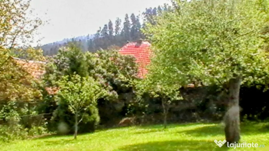 Proprietate: 1500mp, cu casa saseasca autentica, in Cristian, Brasov