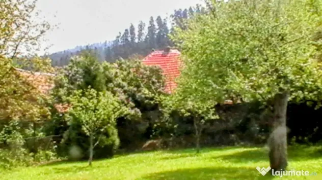 Proprietate: 1500mp, cu casa saseasca autentica, in Cristian, Brasov
