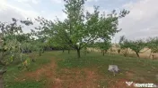 Casa noua cu 3 camere in Siria, 85 mp utili, teren 1.530 mp, 