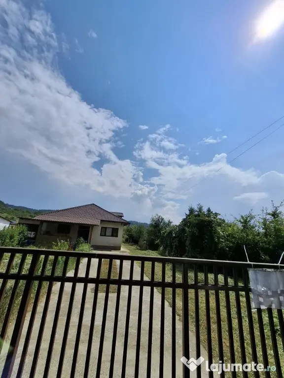 Casă cu teren generos la marginea Parcului Dendrologic | Mihăești, Arg