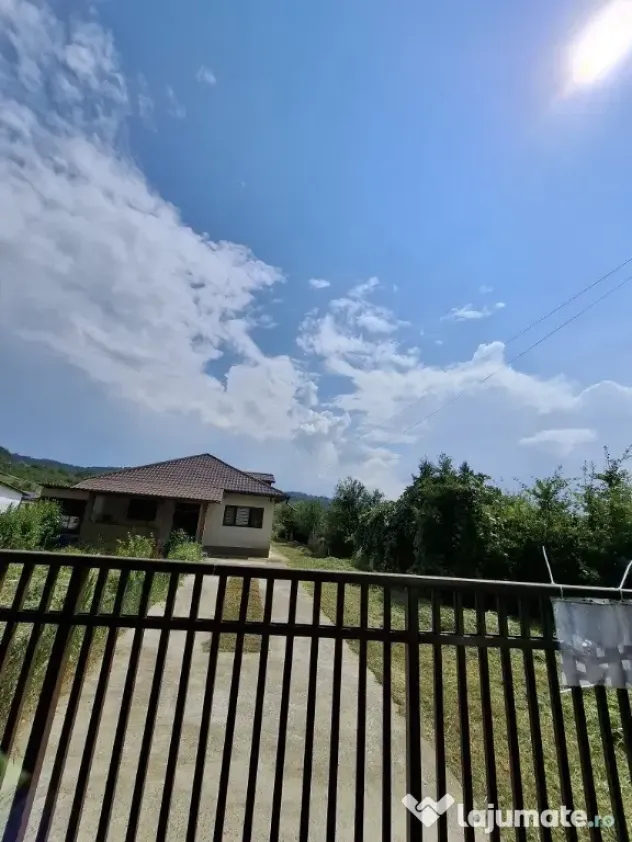 Casă cu teren generos la marginea Parcului Dendrologic | Mihăești, Arg