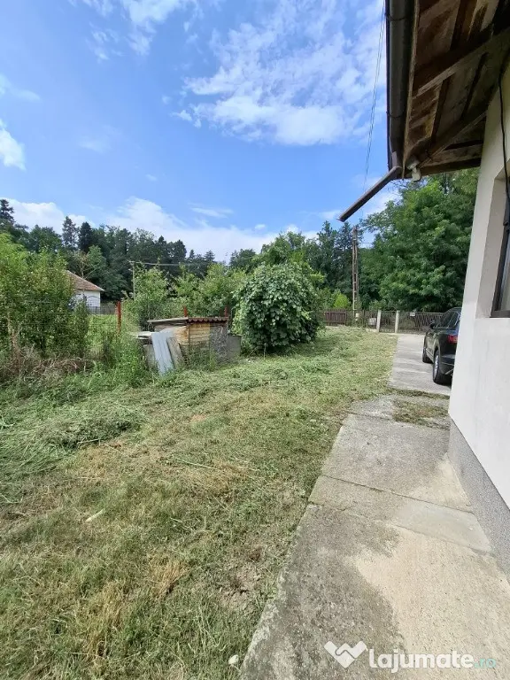 Casă cu teren generos la marginea Parcului Dendrologic | Mihăești, Arg