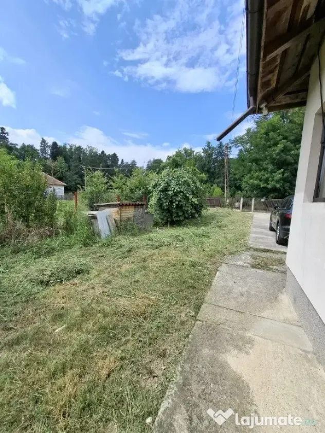 Casă cu teren generos la marginea Parcului Dendrologic | Mihăești, Arg
