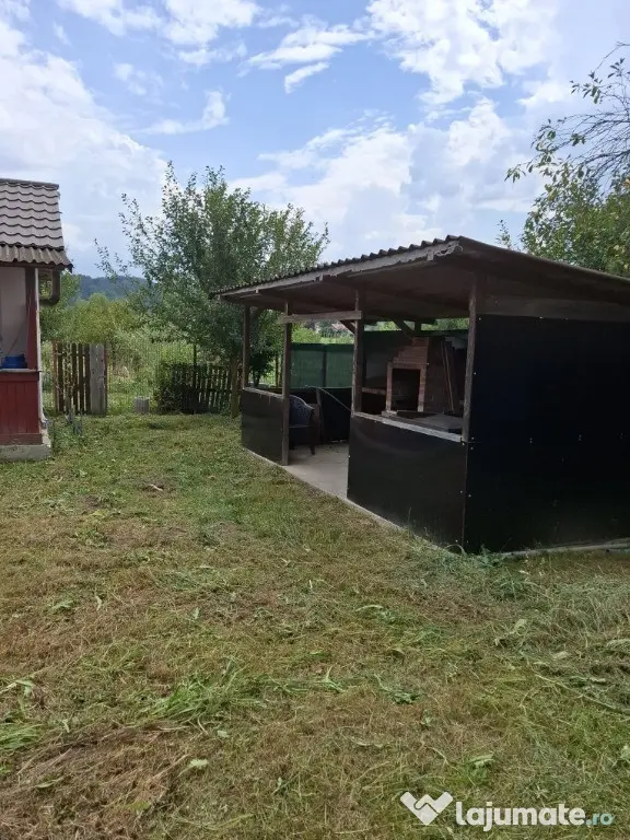 Casă cu teren generos la marginea Parcului Dendrologic | Mihăești, Arg