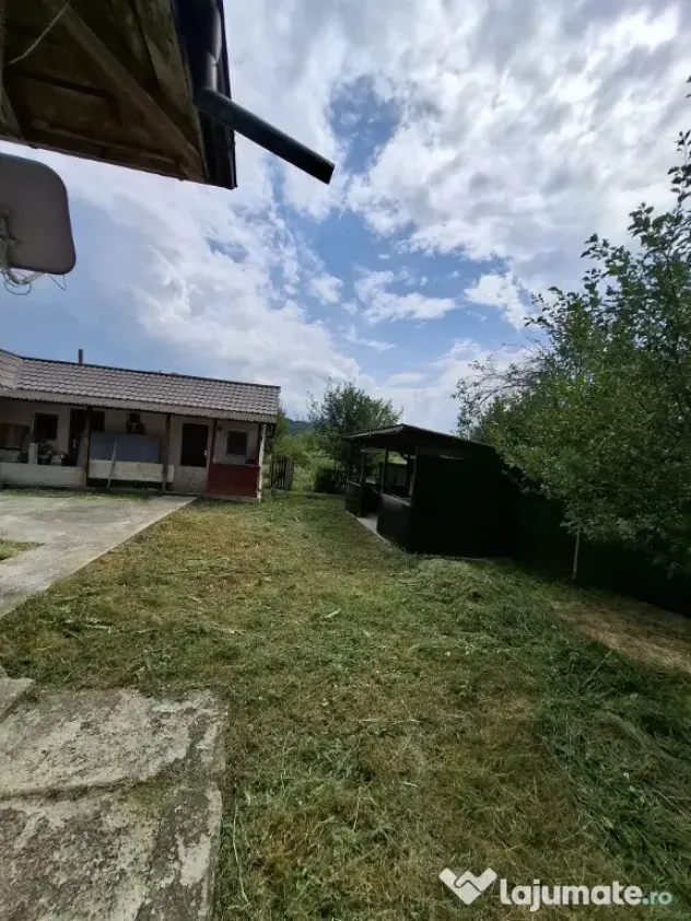 Casă cu teren generos la marginea Parcului Dendrologic | Mihăești, Arg