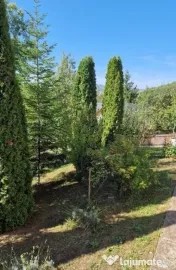 Vila 380 mp Provita de Jos 