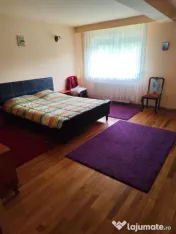 Vila 380 mp Provita de Jos 