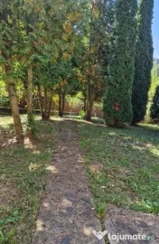 Vila 380 mp Provita de Jos 