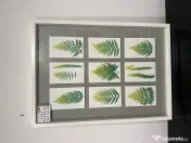 8 Tablouri decorative diverse - vintage, botanice, florale Rama Tablou de perete