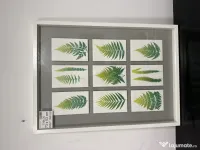 8 Tablouri decorative diverse - vintage, botanice, florale Rama Tablou de perete 