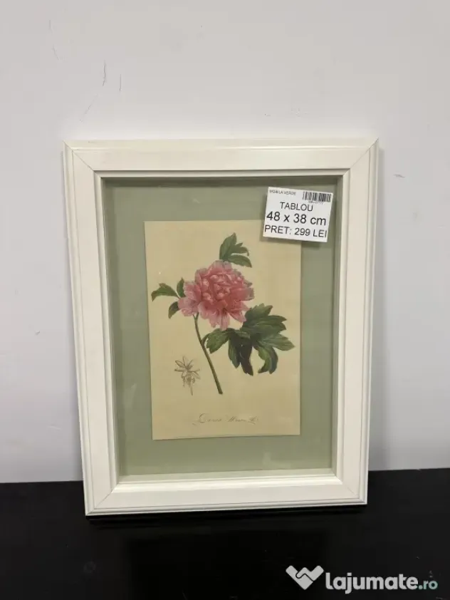 8 Tablouri decorative diverse - vintage, botanice, florale Rama Tablou de perete