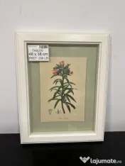 8 Tablouri decorative diverse - vintage, botanice, florale Rama Tablou de perete