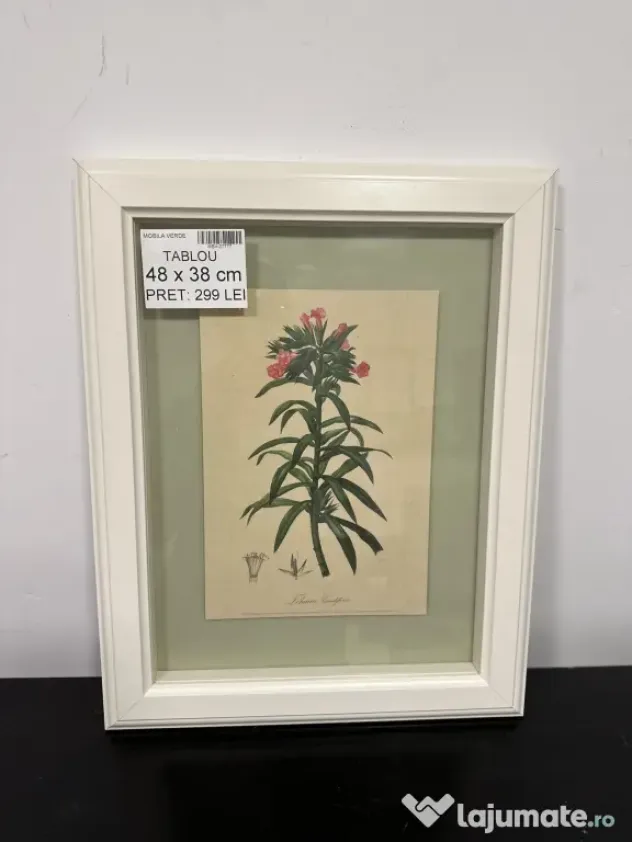 8 Tablouri decorative diverse - vintage, botanice, florale Rama Tablou de perete