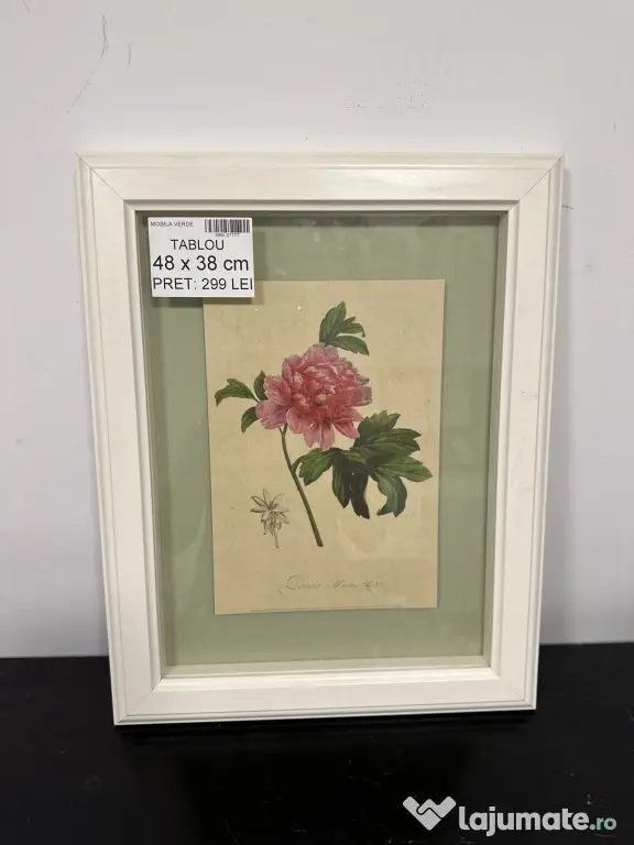 8 Tablouri decorative diverse - vintage, botanice, florale Rama Tablou de perete